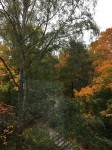 IMG_9326